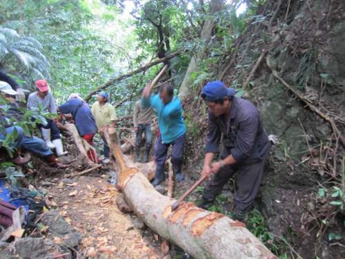 準備建造十人大船