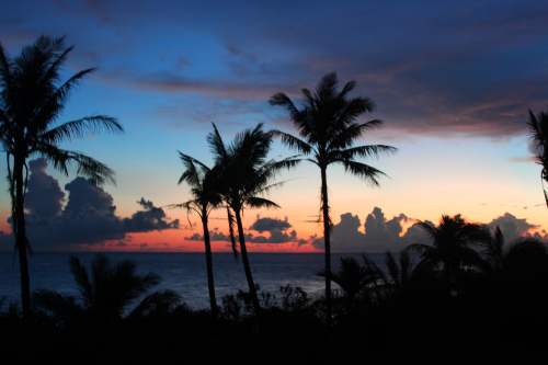 蘭嶼【熱帶魚民宿】徵2013年打工換宿人員