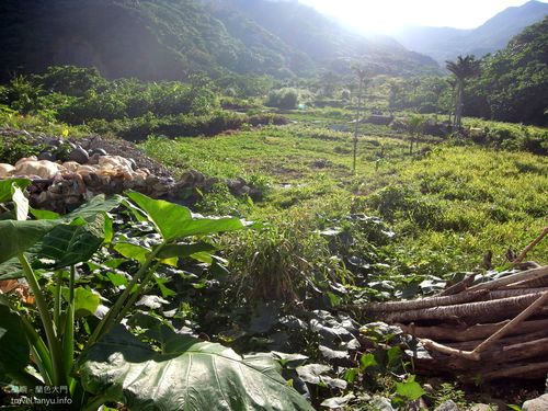 Yama的地瓜園 招募2014年小幫手