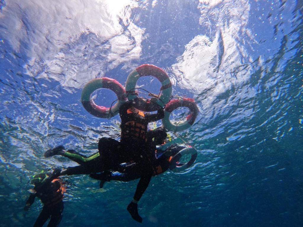 尼莫浮潛開始預約囉！