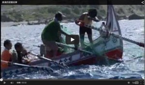 黑潮的甜蜜故事