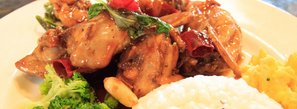 人魚和貓 照片 2