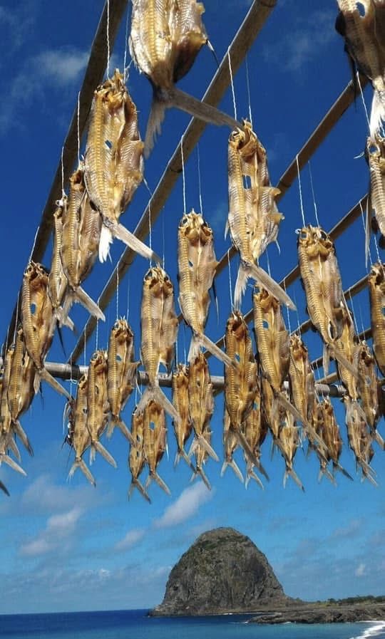 蘭嶼伴手禮-ㄧ夜干