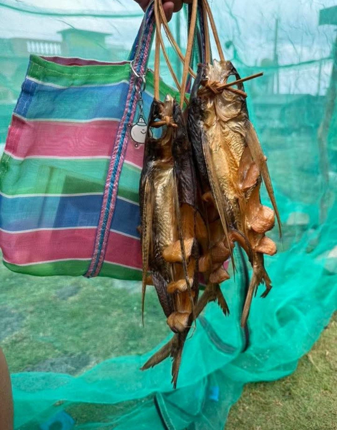 煙燻飛魚乾