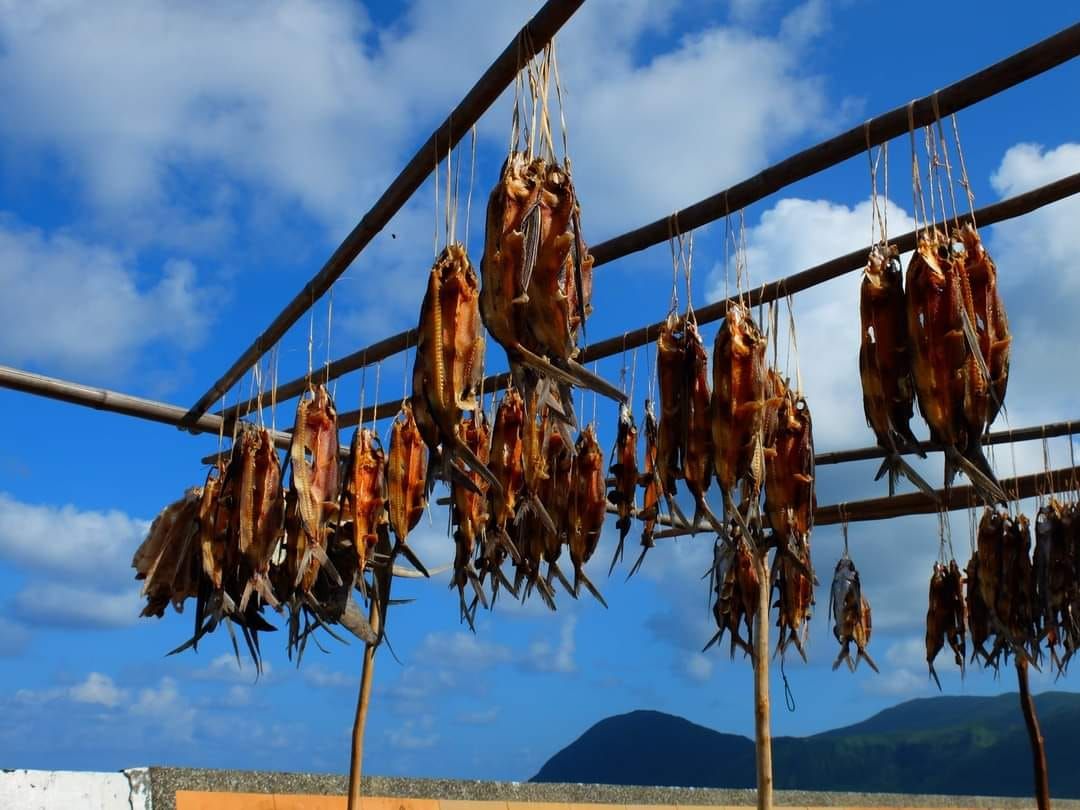 民宿主人曬飛魚充滿蘭嶼風情