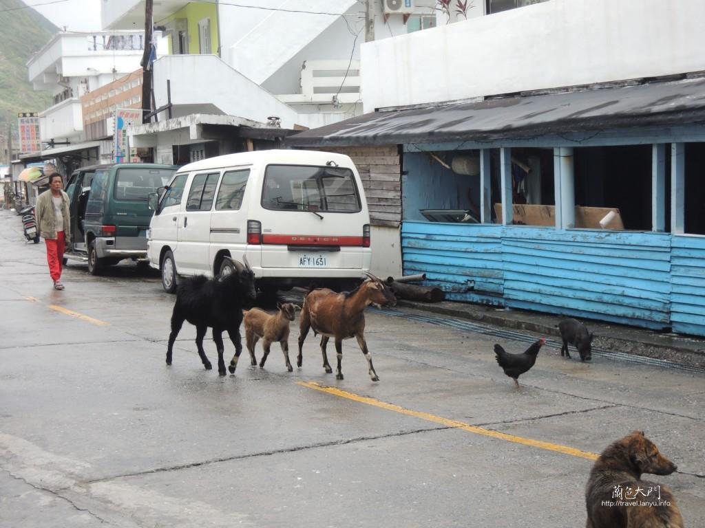 悠閒的野銀街道
